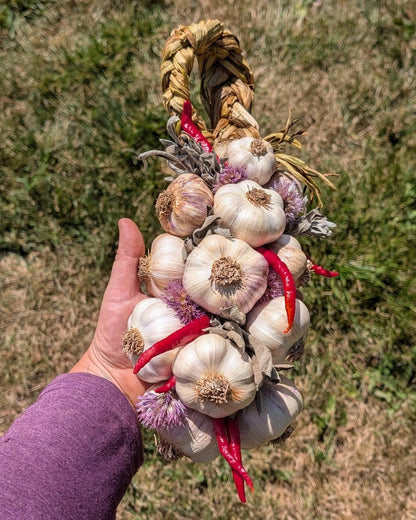 Hand holding a pepper and herb garlic braid with dried peppers and herbs