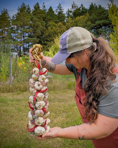 Large pepper and herb garlic braid held outdoors