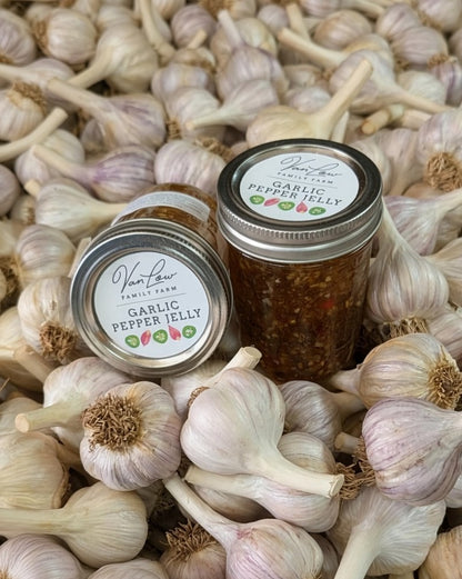 Two jars of Van Low Family Farm garlic pepper jelly on a pile of farm garlic