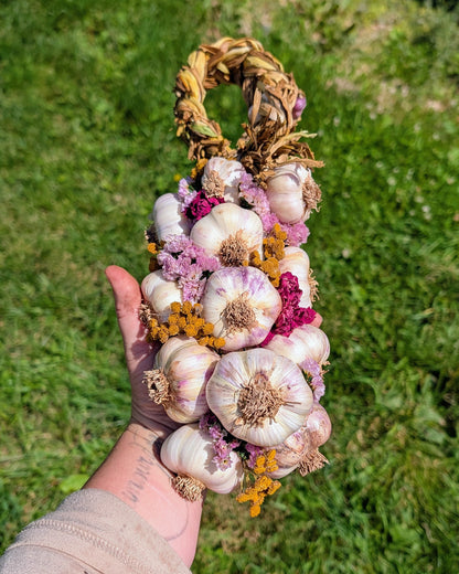Garlic Braids