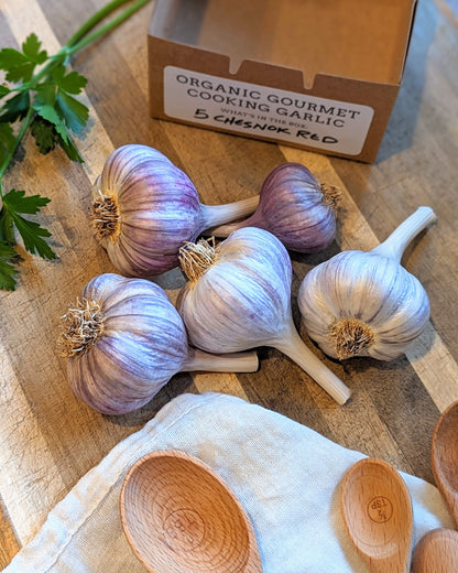 Organic Gourmet Cooking Garlic