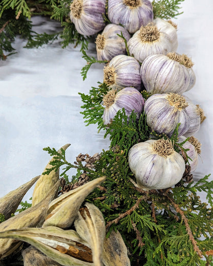 Garlic Holiday Wreath