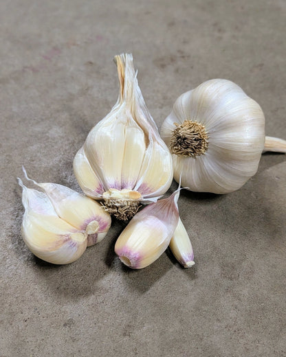 Metechi Garlic