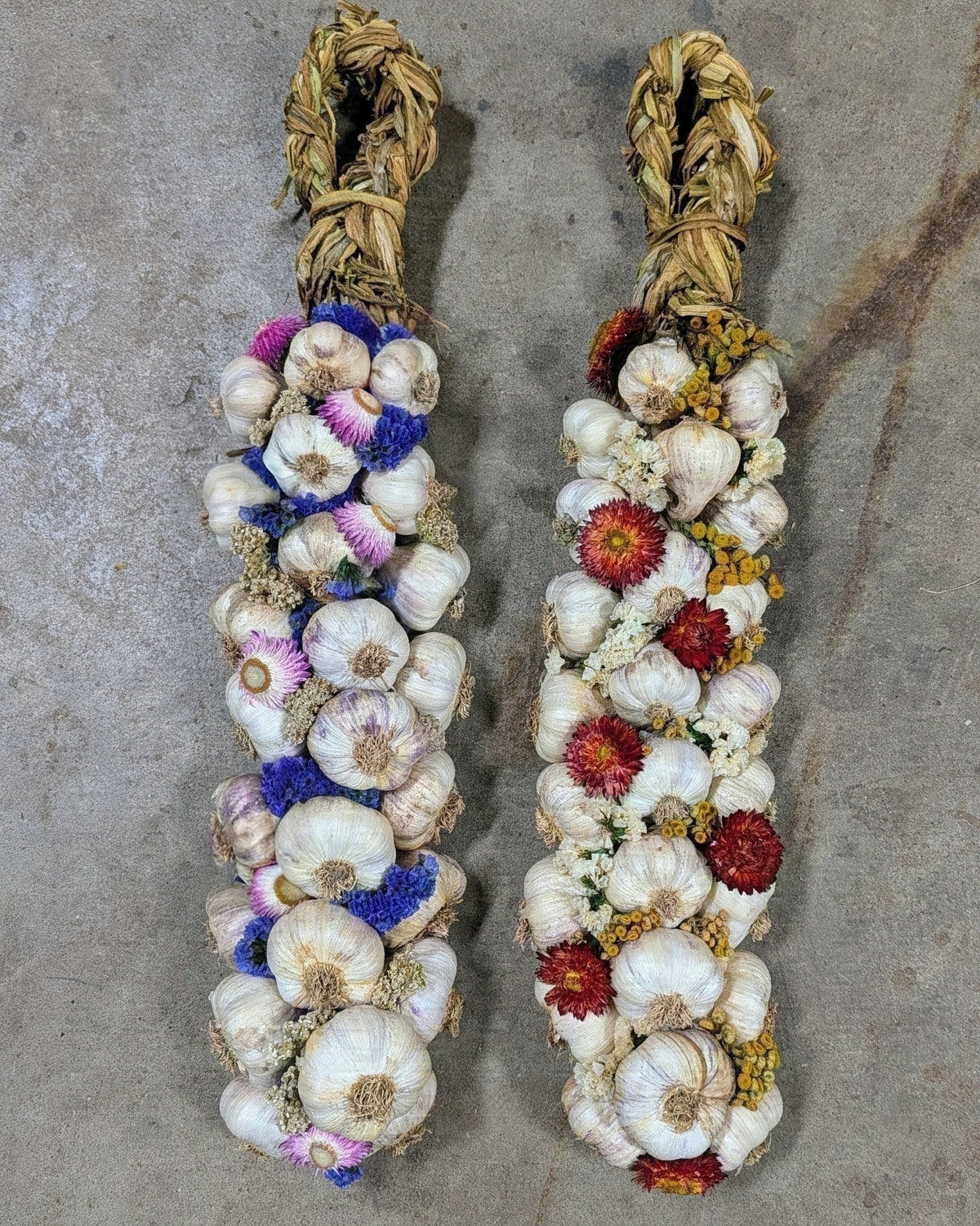 Garlic Braids
