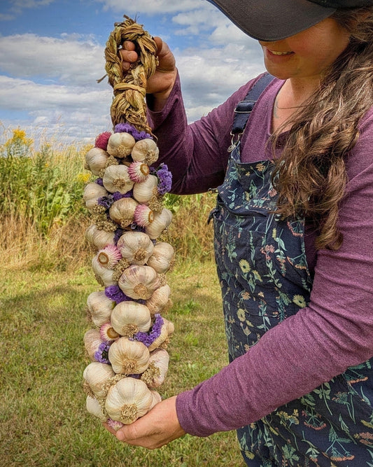 Garlic Braids