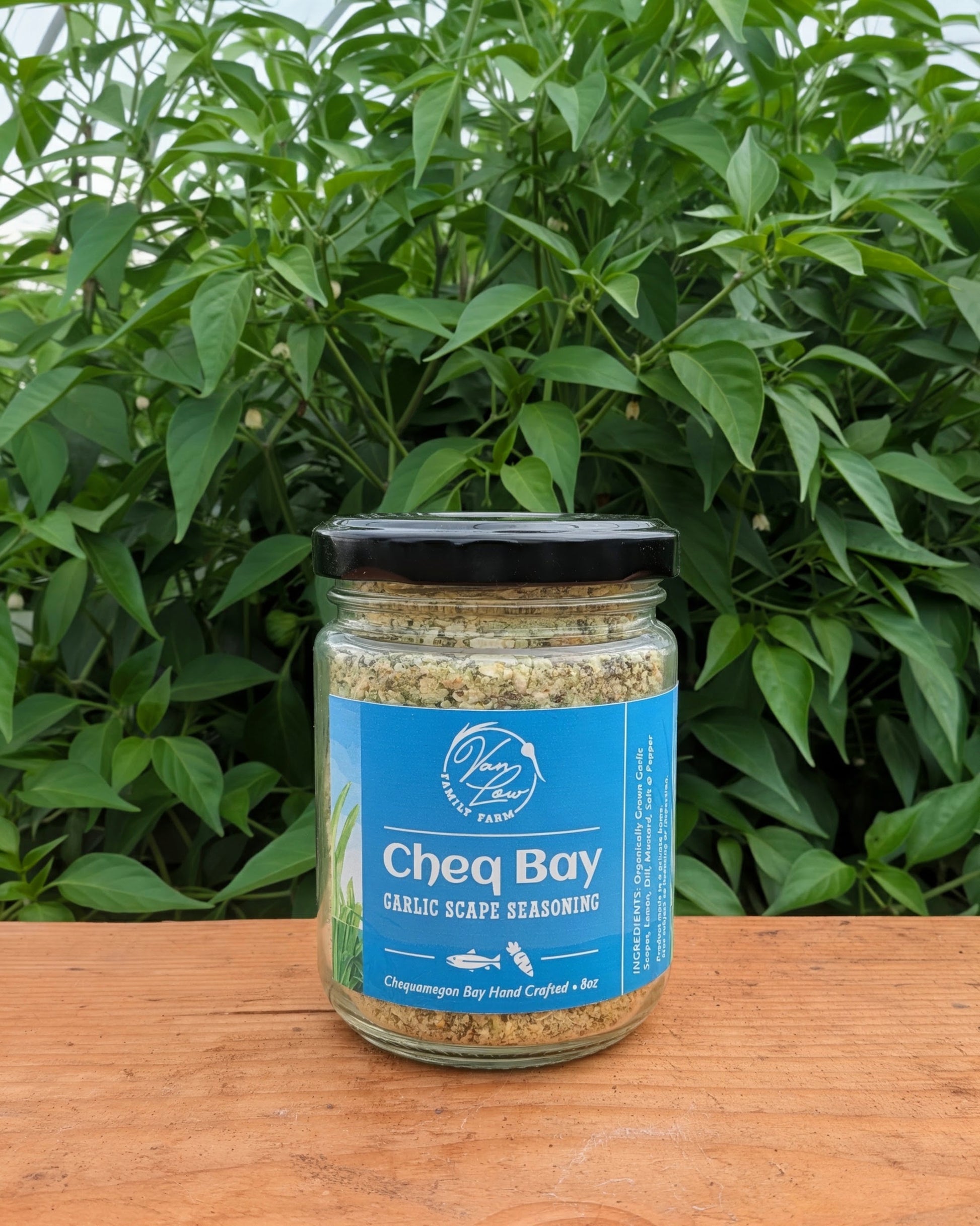 Cheq Bay garlic scape seasoning 8oz jar from Van Low Family Farm, Marengo Wisconsin, among garlic scapes